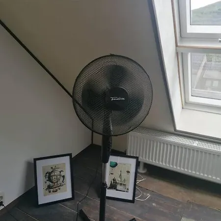 Schoene Wohnung Im Jugendstilhaus Im Weltkulturerbe Сasa de vacaciones