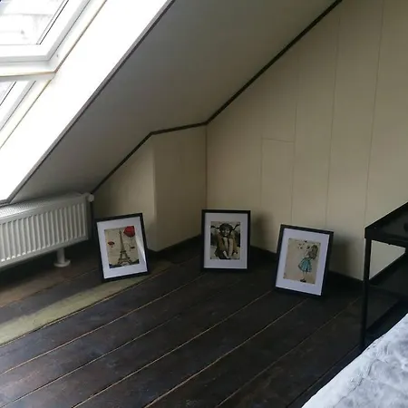 Schoene Wohnung Im Jugendstilhaus Im Weltkulturerbe Сasa de vacaciones